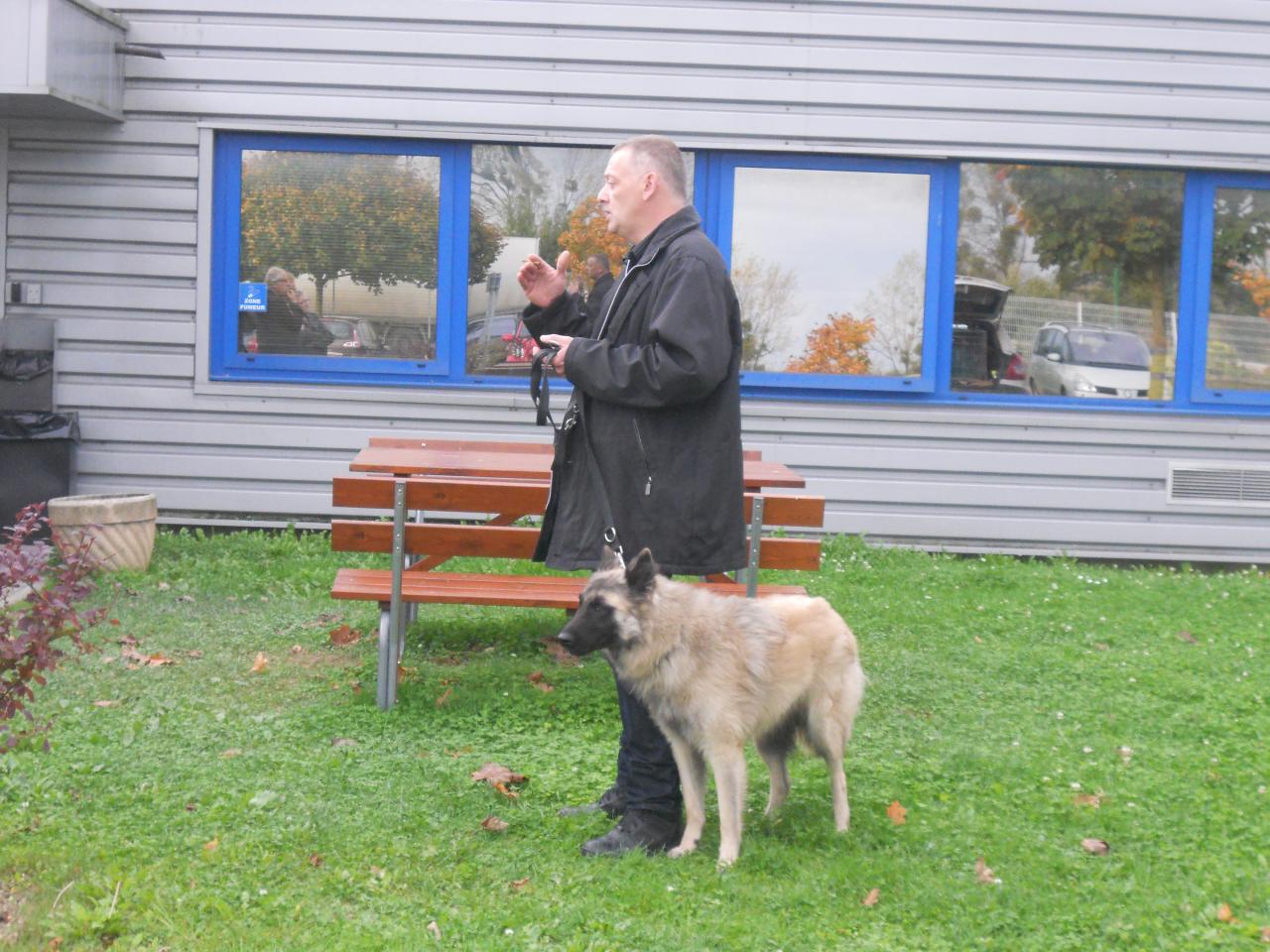 Frédéric Leclerc: éducateur canin: formation risque canin