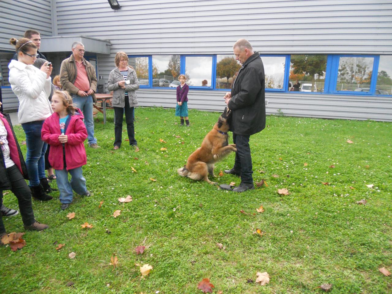 Frédéric Leclerc: éducateur canin: formation risque canin