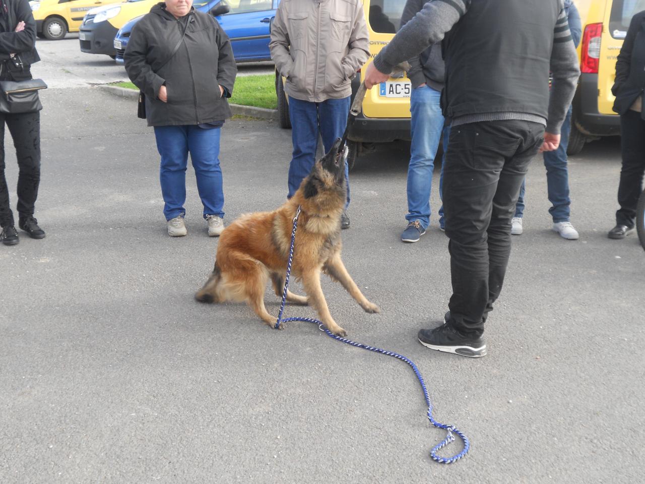 Frédéric Leclerc éducateur canin: formation risque canin