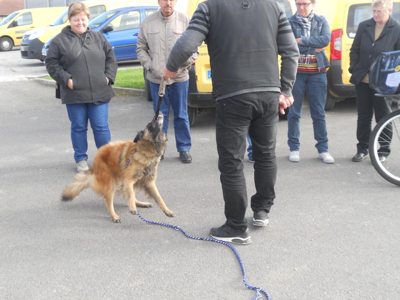 Frédéric Leclerc: éducateur canin: formation risque canin