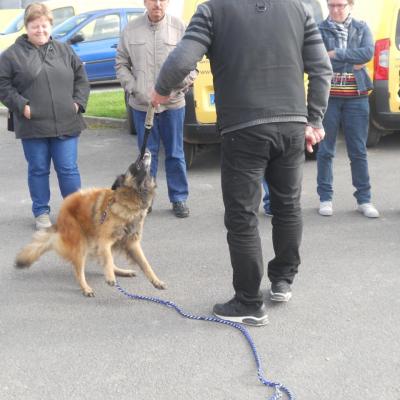 Frédéric Leclerc: éducateur canin: formation risque canin