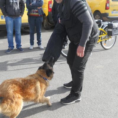 Frédéric Leclerc: formation risque canin