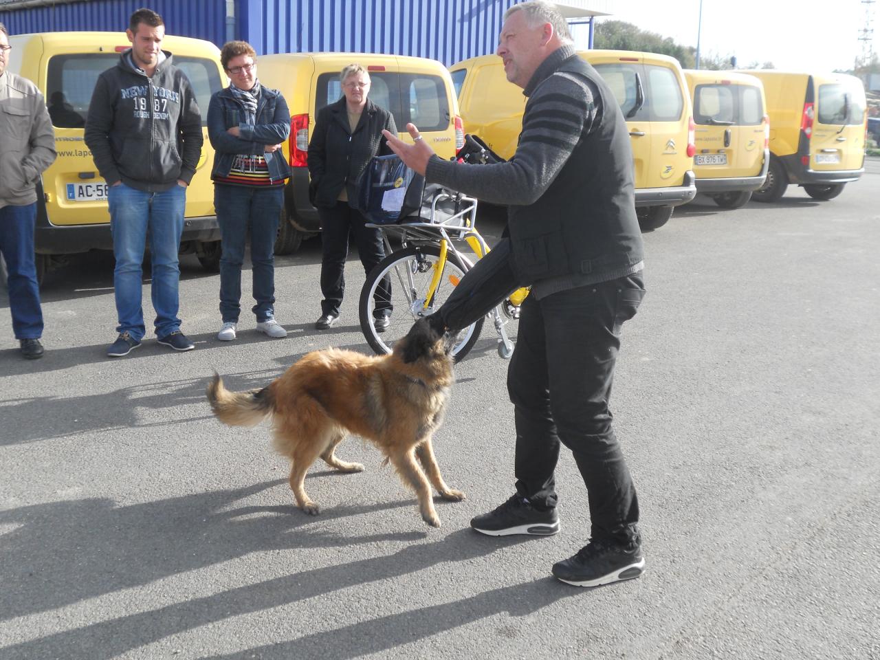 Frédéric Leclerc: éducateur canin: formation risque canin