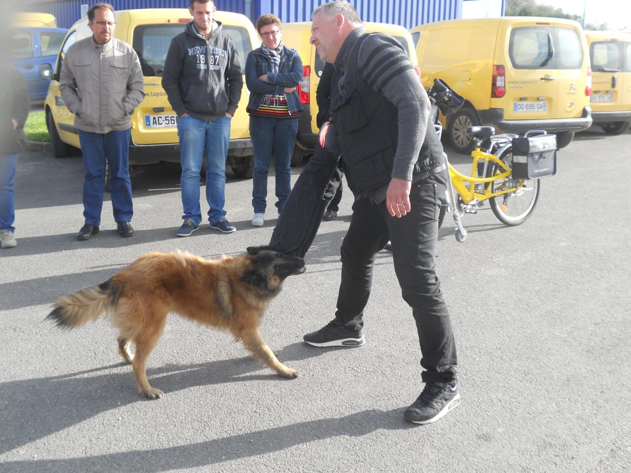 Frédéric Leclerc: éducateur canin: formation risque canin